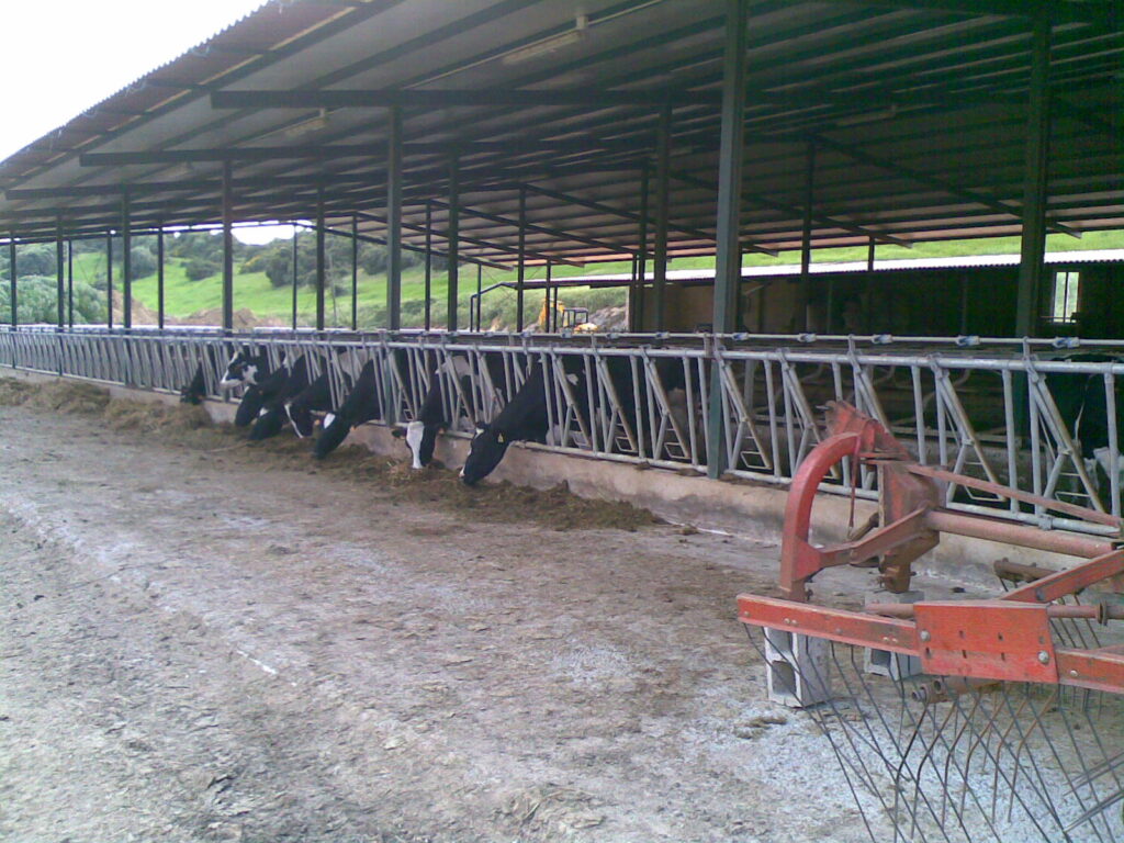 gestiones agrarias ingeniería agrícola calero