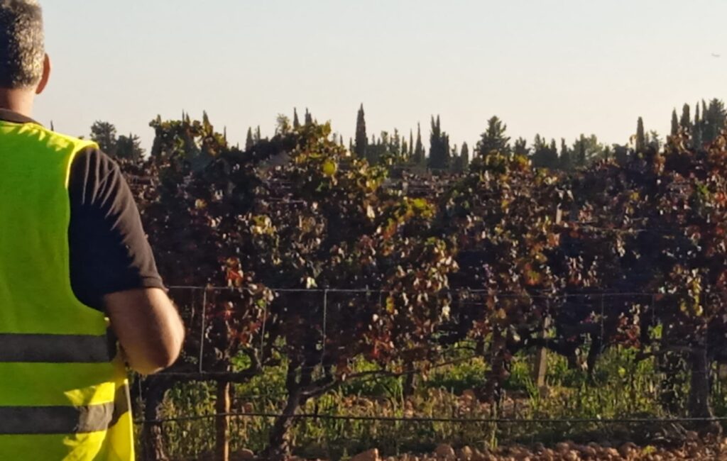 jose calero ingeniero agrícola en mallorca y menorca