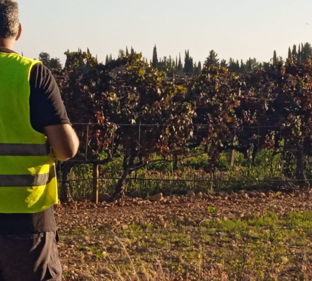 valoraciones agrarias ingeniería agrícola calero